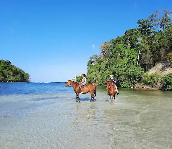 Amazing Location! Walk To Town, & Dinner - Payment Required To Reserve Apartamento Ocho Ríos